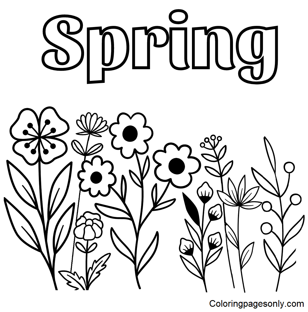 12 Spring Flowers Coloring Pages Free Printable For Kids And Adults