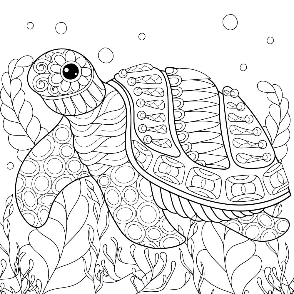 Adult Turtle Coloring Pages In Turtle Coloring Pages Coloring My XXX 