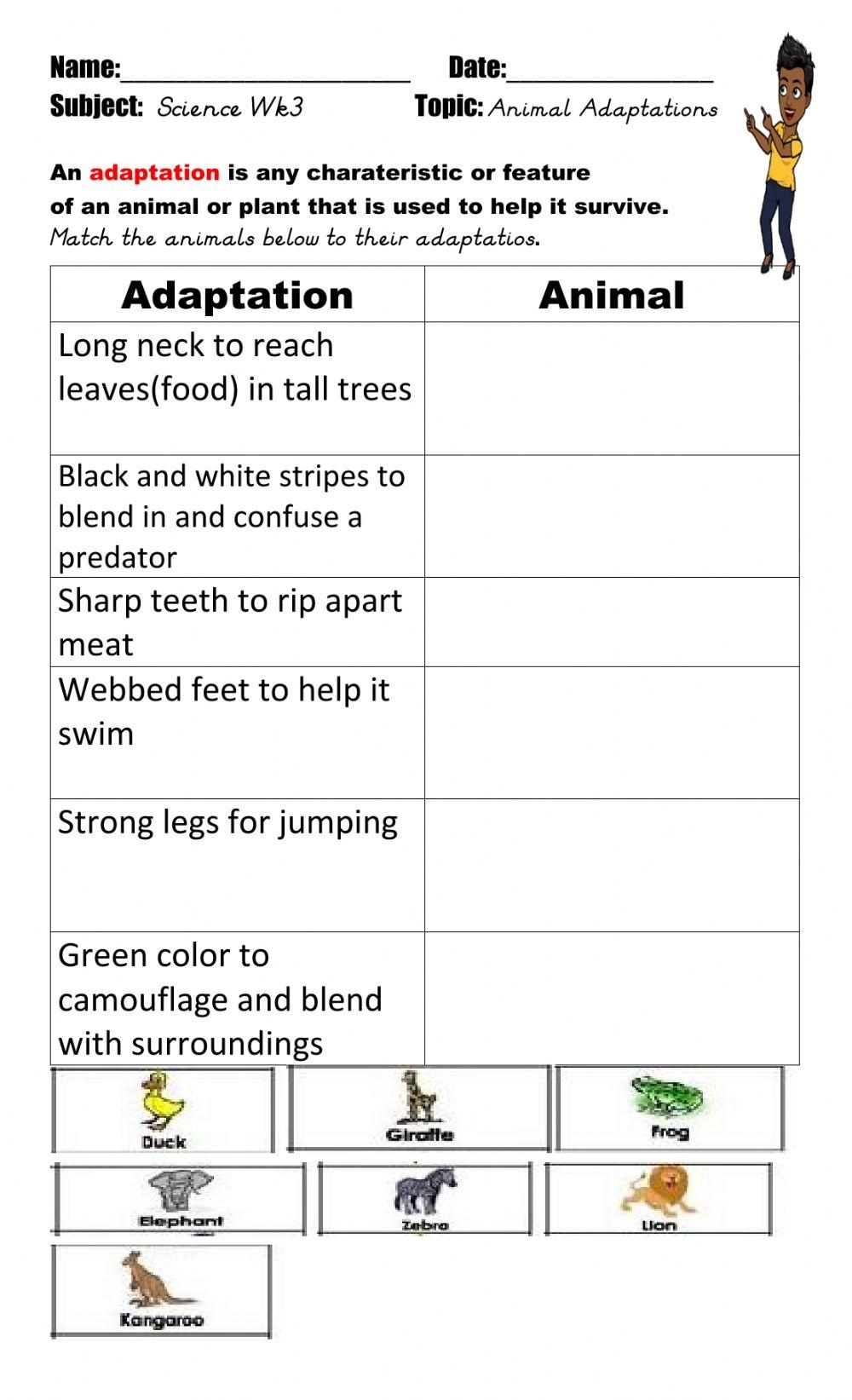 Animal Adaptation Sheet Worksheets Worksheets Library