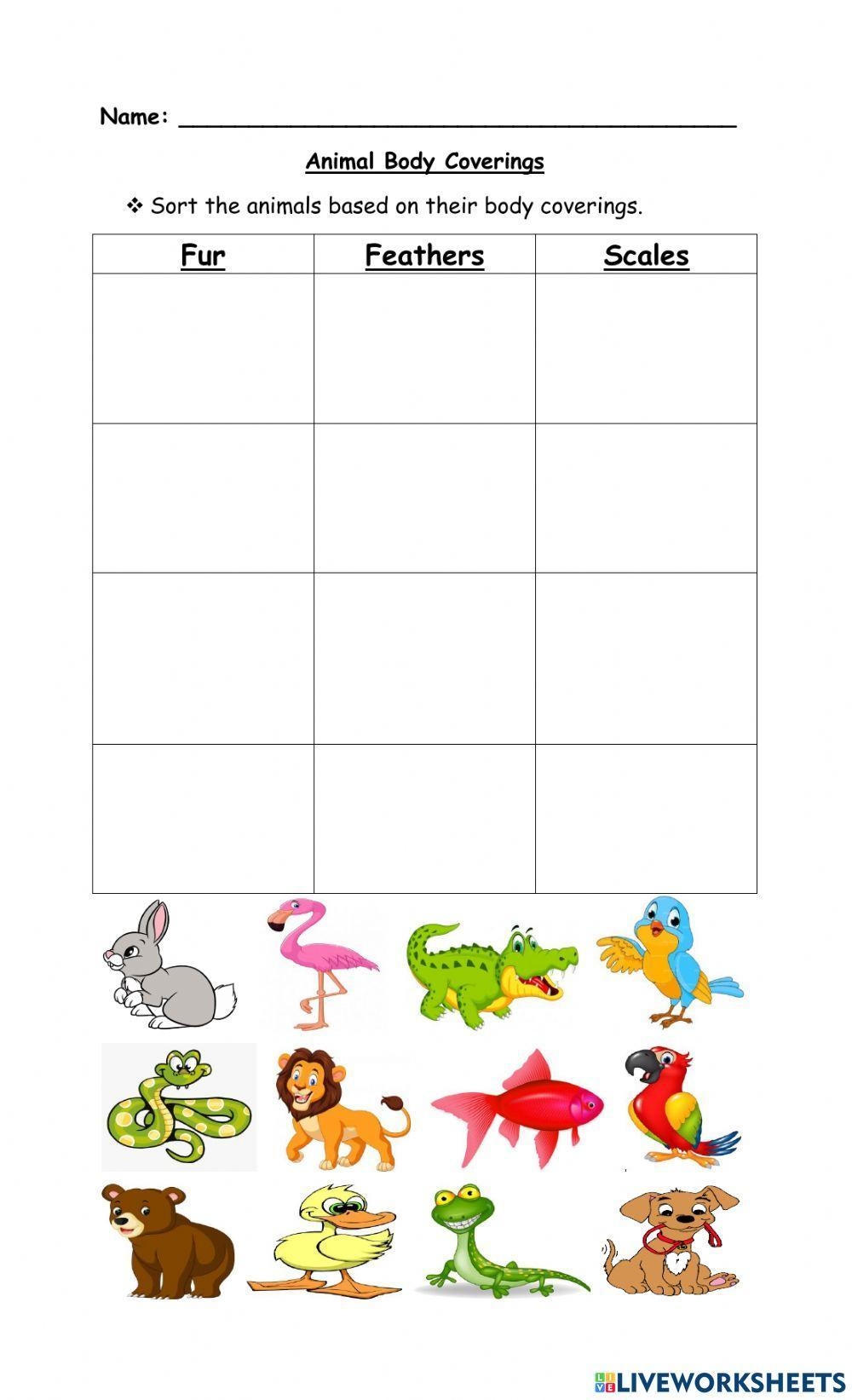 Animal Body Coverings Online Worksheet Live Worksheets Worksheets 