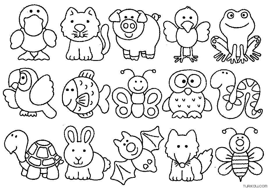 Animal Coloring Page Turkau