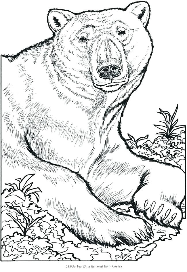 Animal Coloring Pages Printable