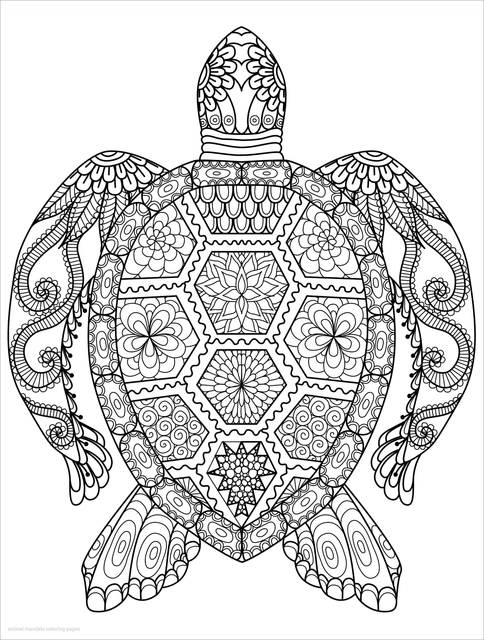 Animal Mandala Coloring Pages ColoringBay
