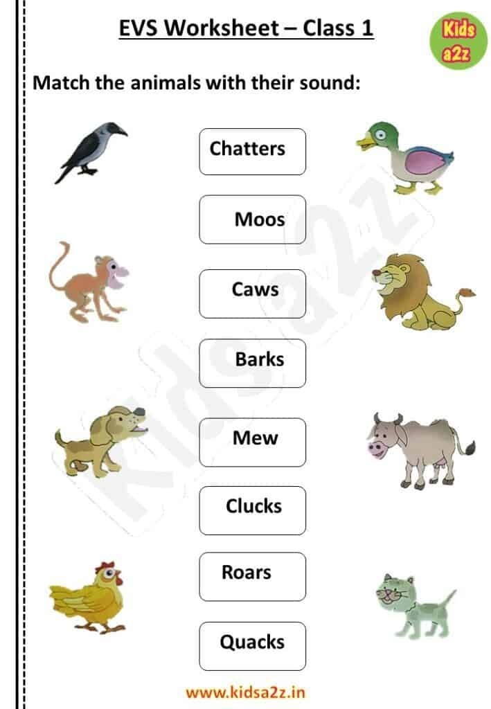 Animals Around Us Class 1 EVS Worksheet Contains Various Types Of 