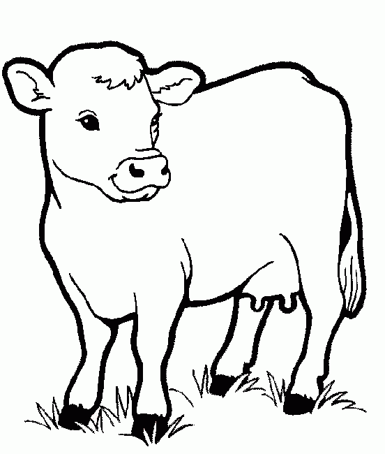 Animals Coloring Pages Coloringkids