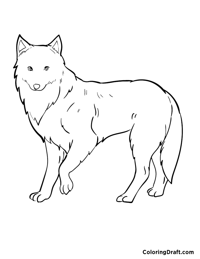 Arctic Fox Coloring Pages ColoringDraft