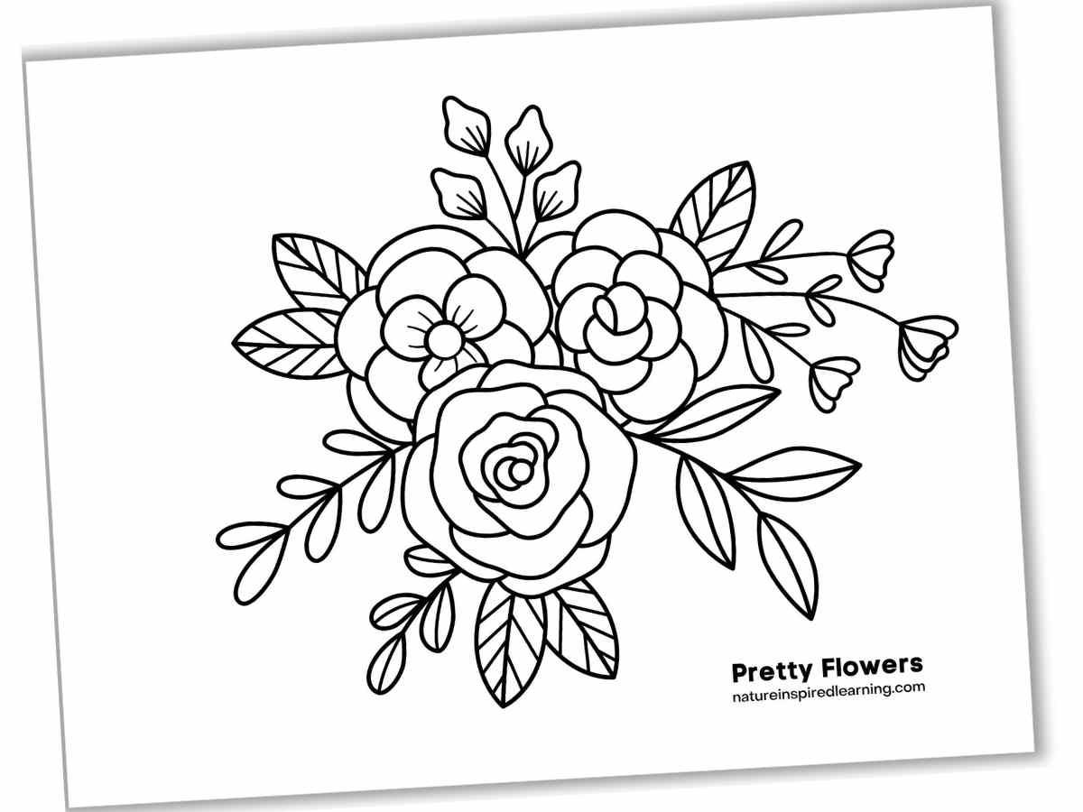 Beautiful Flower Coloring Pages Infoupdate