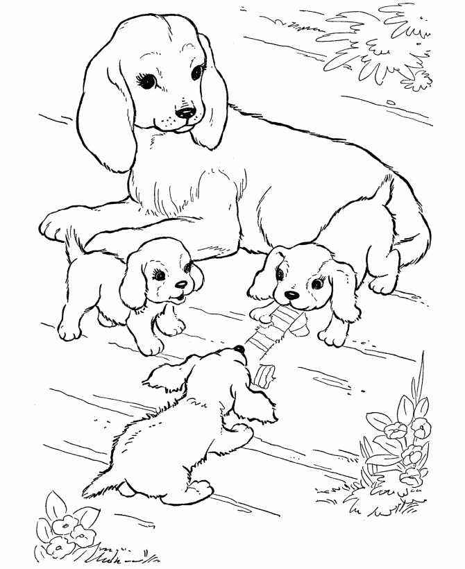 Best Coloring Page Dog Dogs And Puppies Coloring Pages Free 