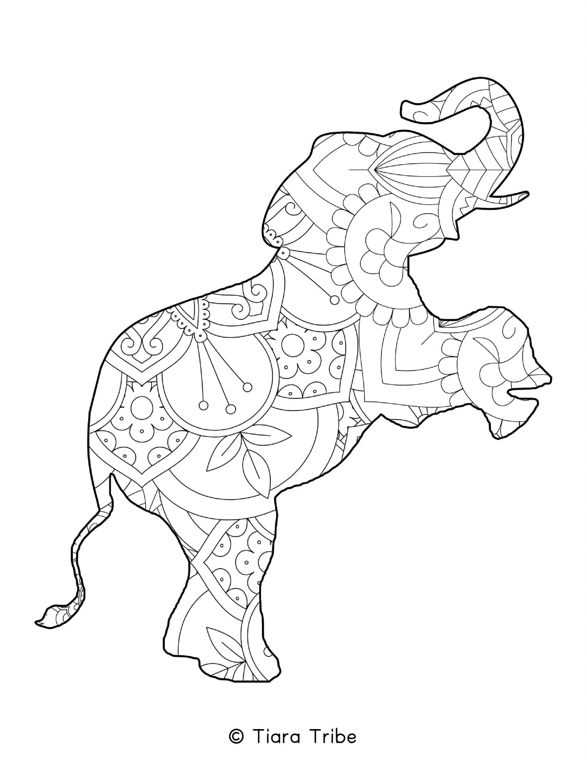 Best Free Animal Mandala Coloring Pages PDFs To Download