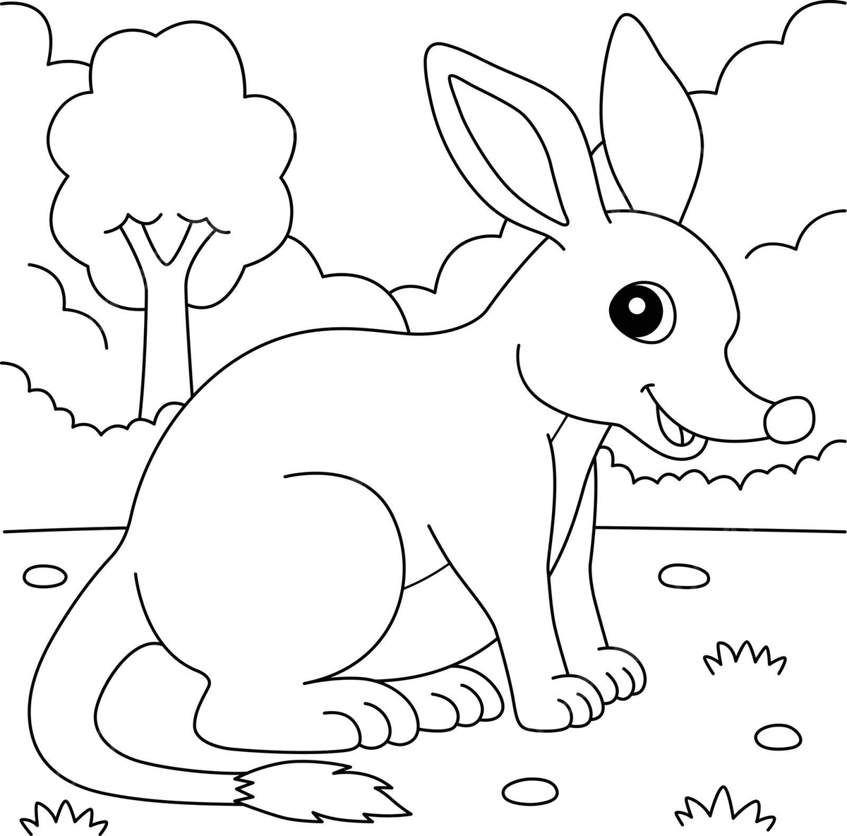 Bilby Animal Coloring Page For Kids Animal Color Macrotis Vector 