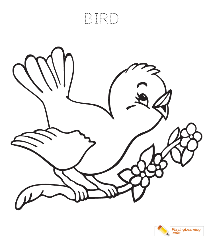 Bird Coloring Page 04 Free Bird Coloring Page