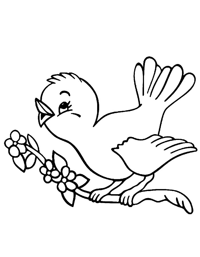 Bird Coloring Pages Free Printable PDF 