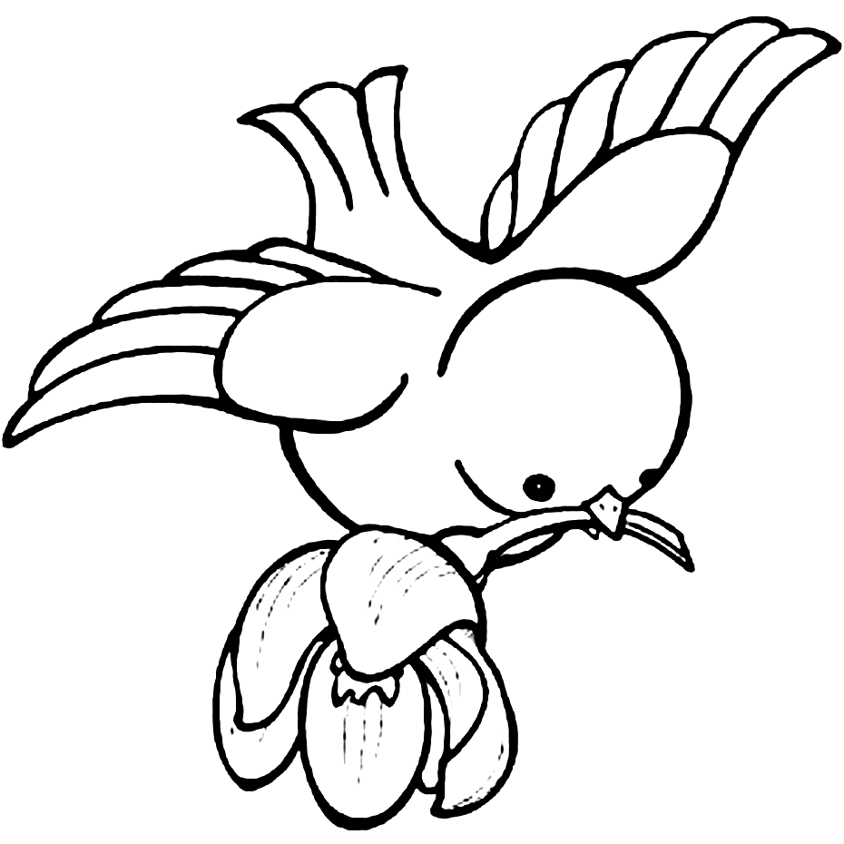 Bird Coloring Pages Printable Coloring Pages FREE