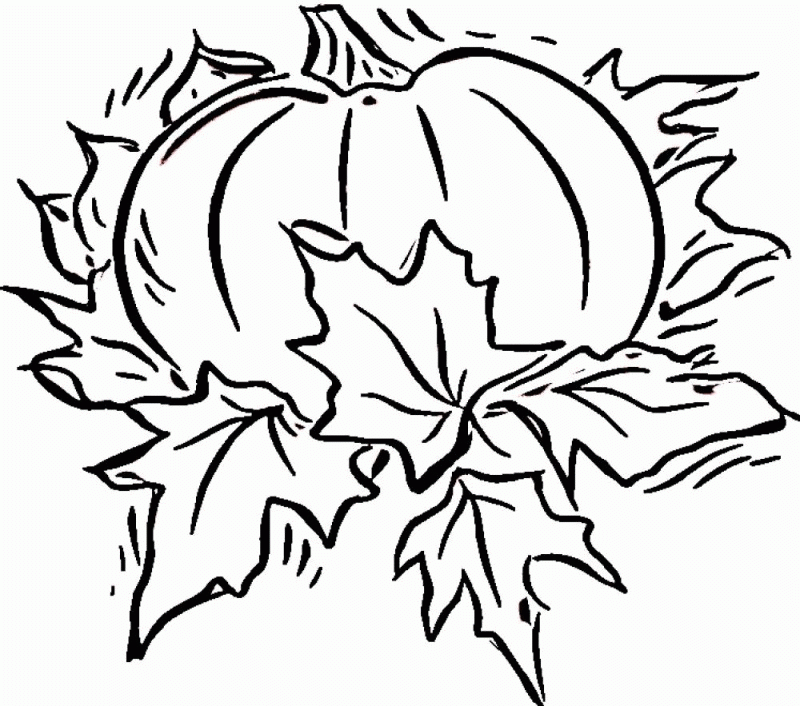 Blank Coloring Book Pages Coloring Home