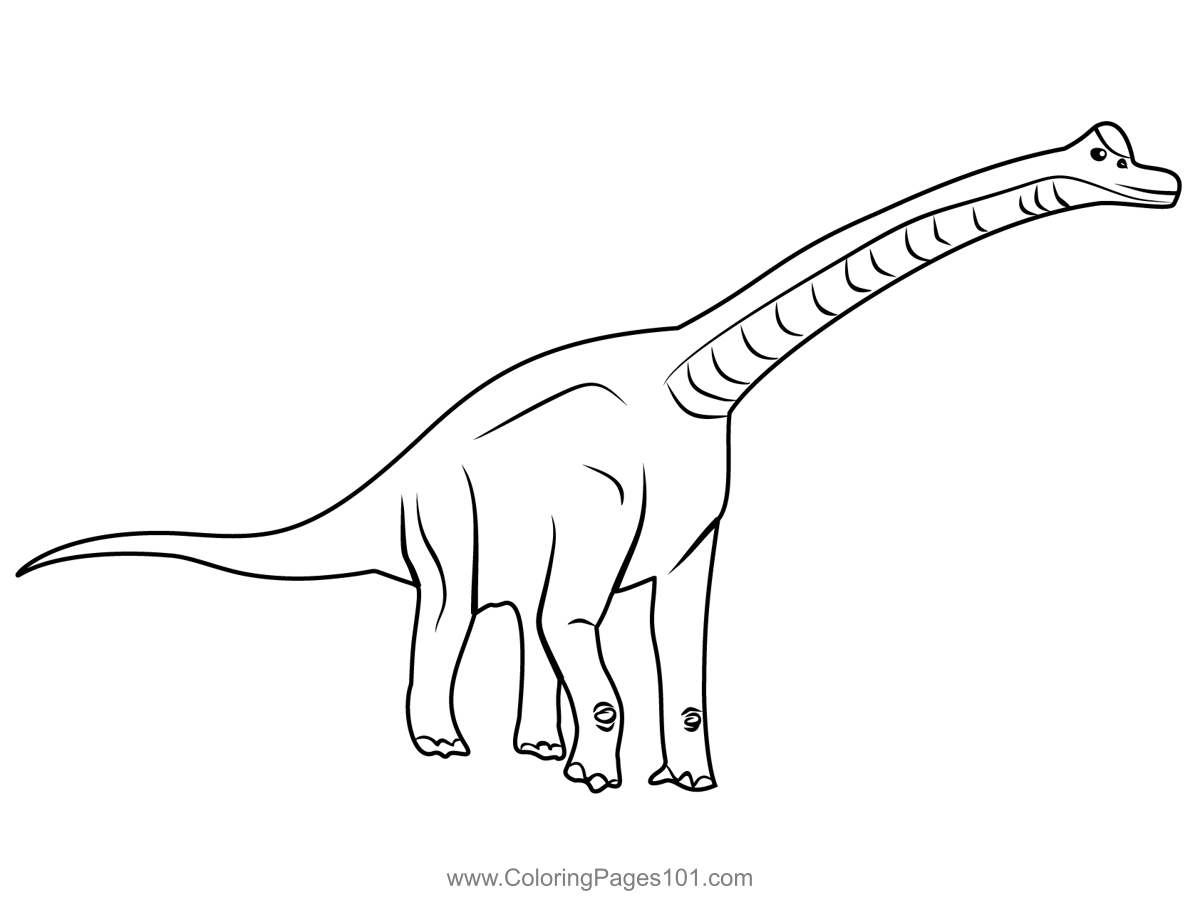Brachiosaurus Coloring Page For Kids Free Dinosaurs Printable 