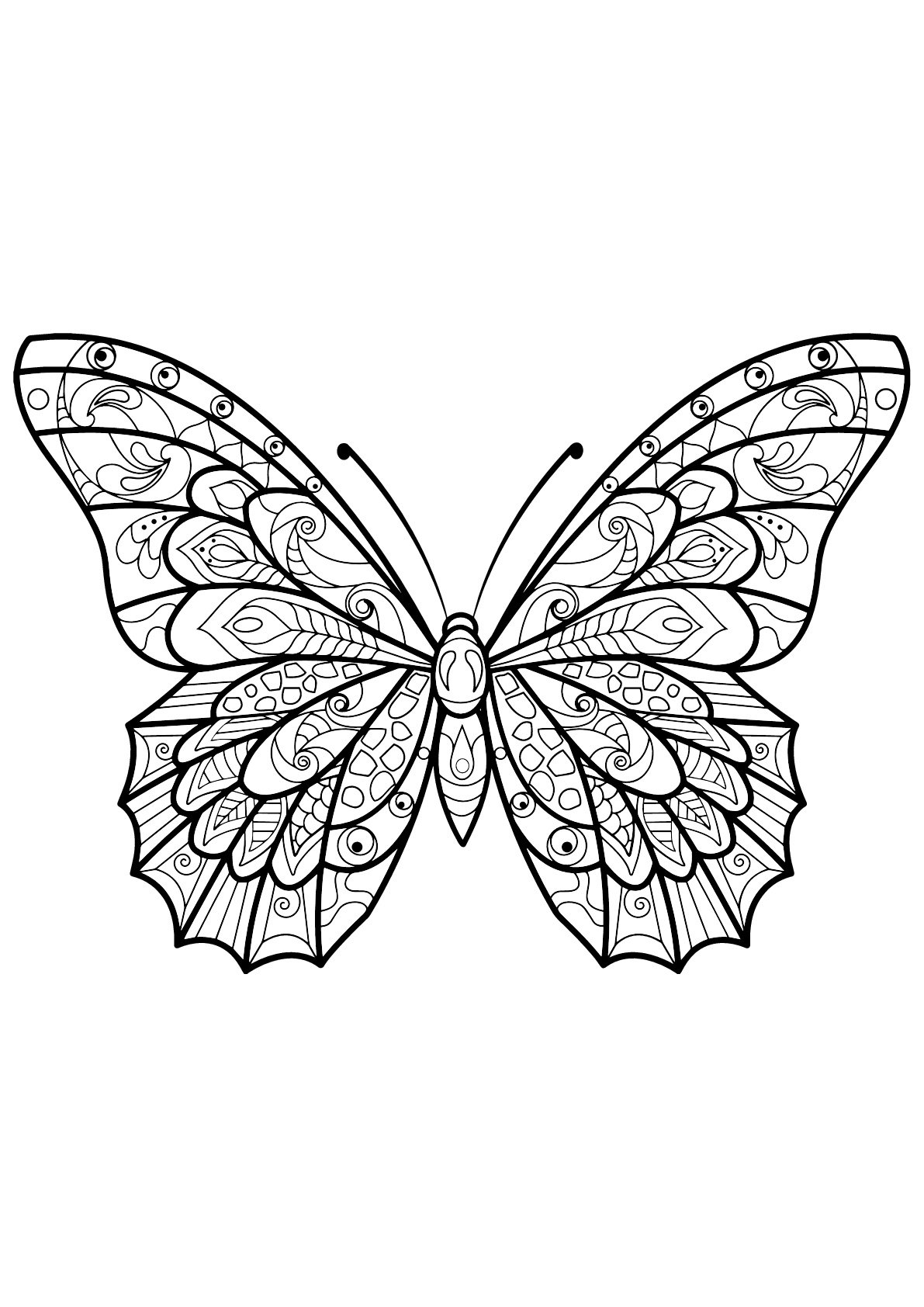 Butterfly Colouring Pages