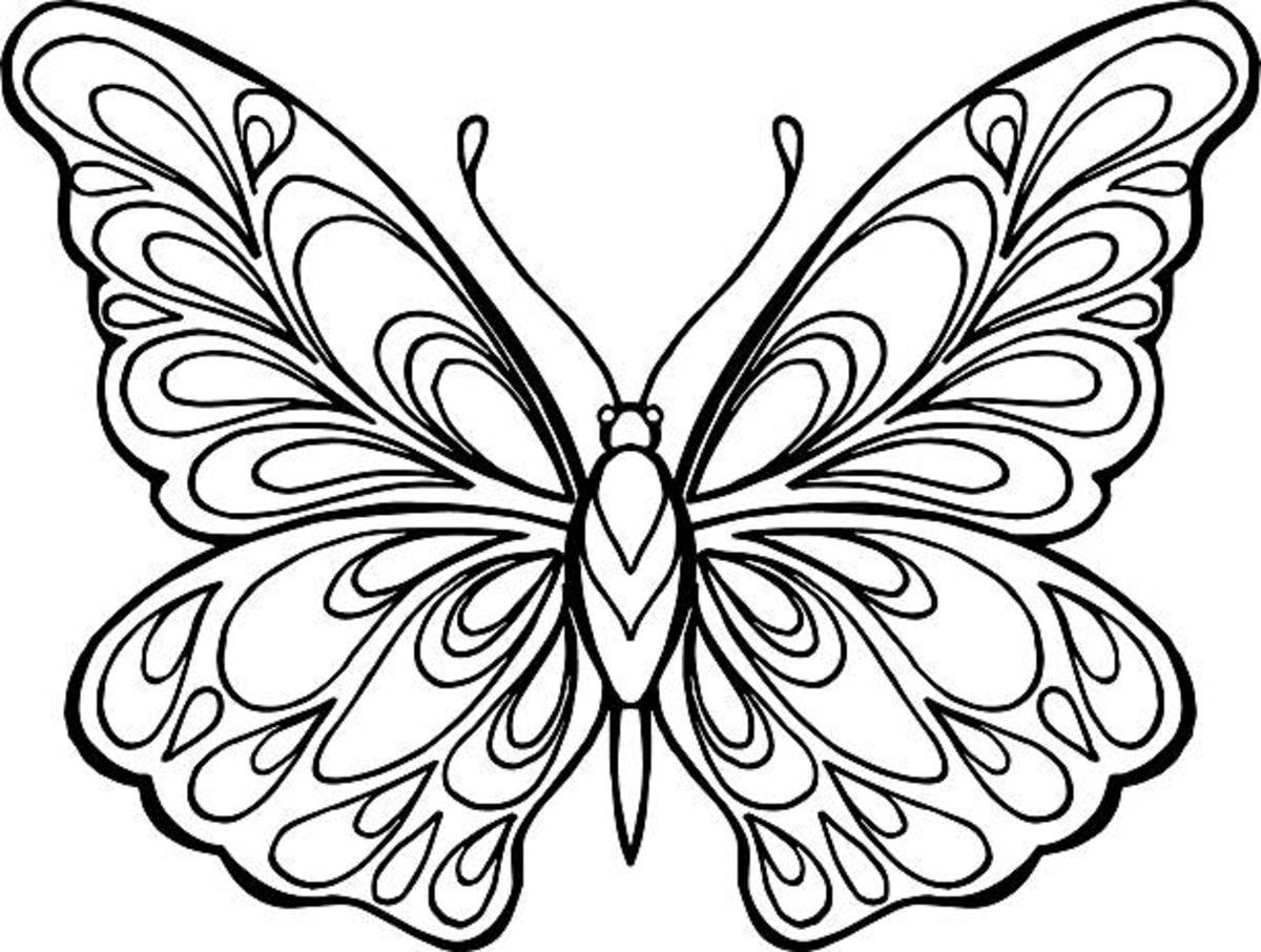 Butterfly Images For Colouring