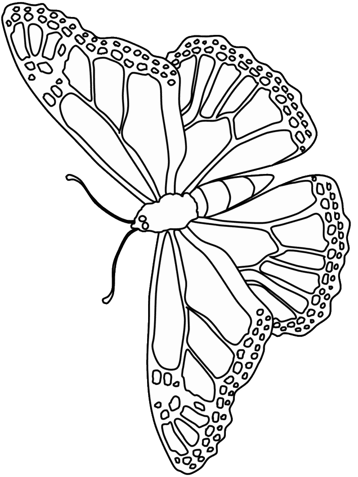 Butterfly Printable Coloring Page Coloring Book 