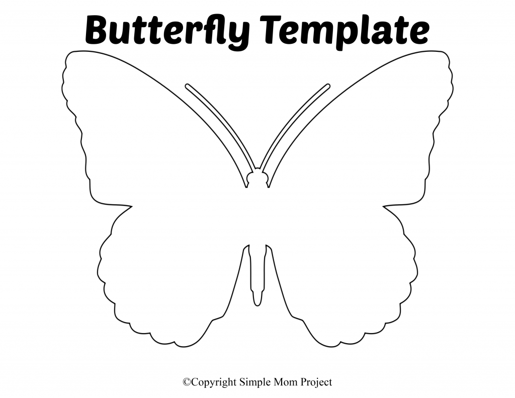 Butterfly Templates Printable DocTemplates