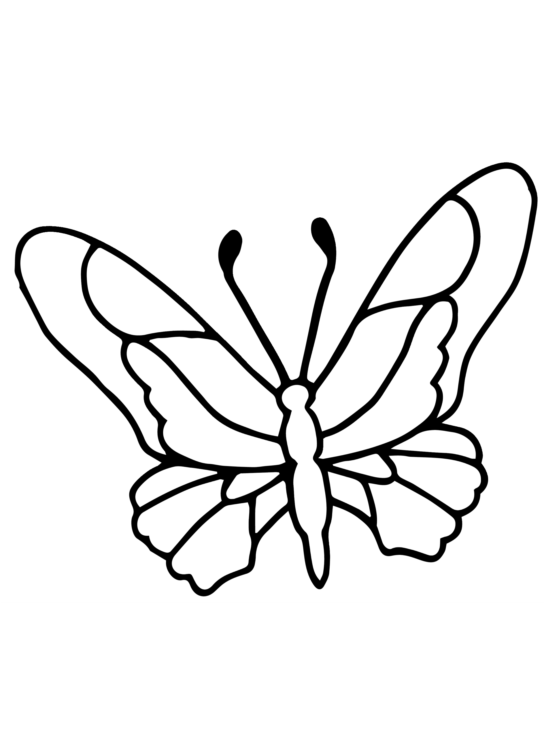 Cartoon Butterfly Coloring Page Printable Coloring Sheet Anbu The 