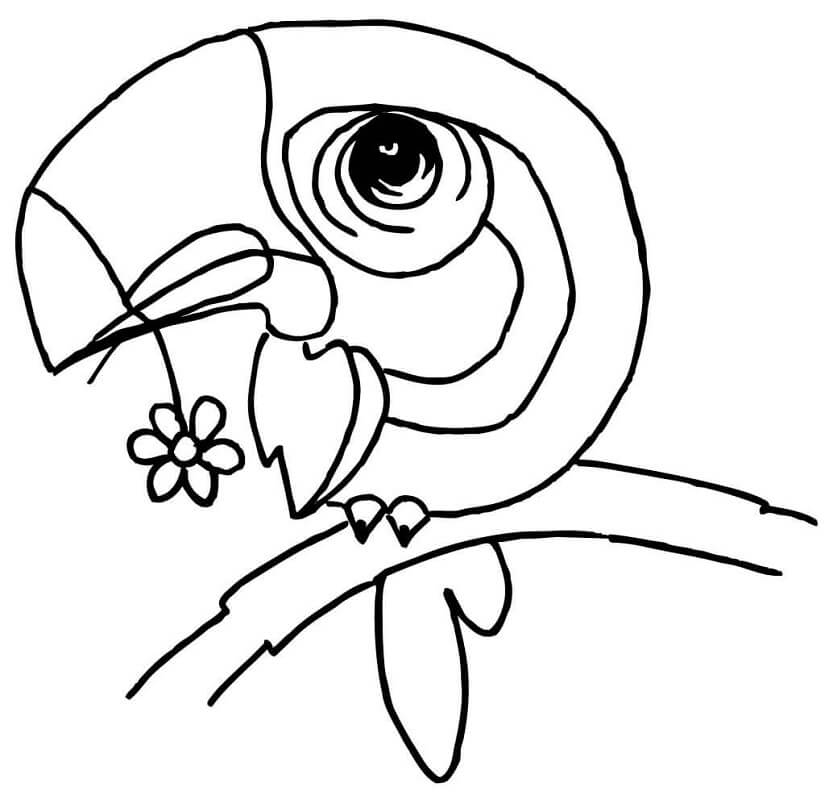 Cartoon Toucan Coloring Page Free Printable Coloring Pages For Kids