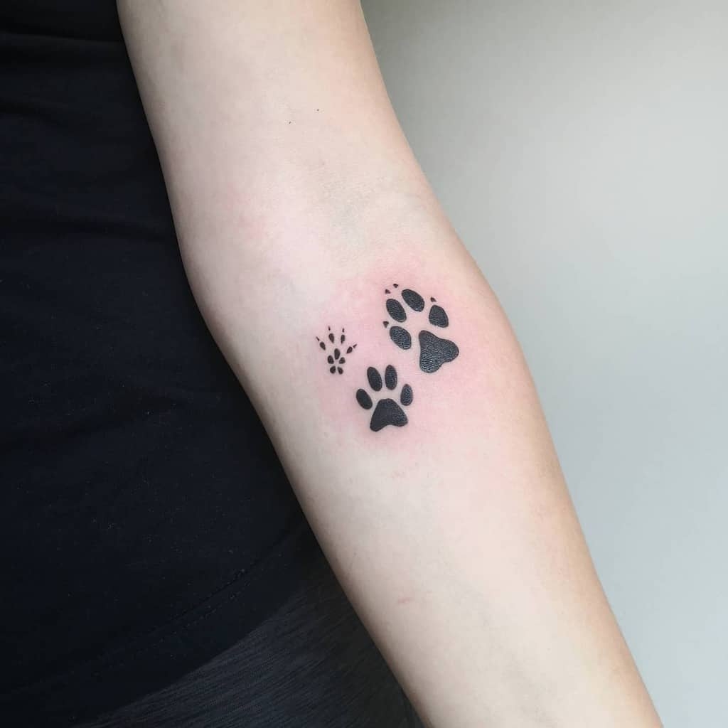 Cat Paw Print Tattoo KeepingDog