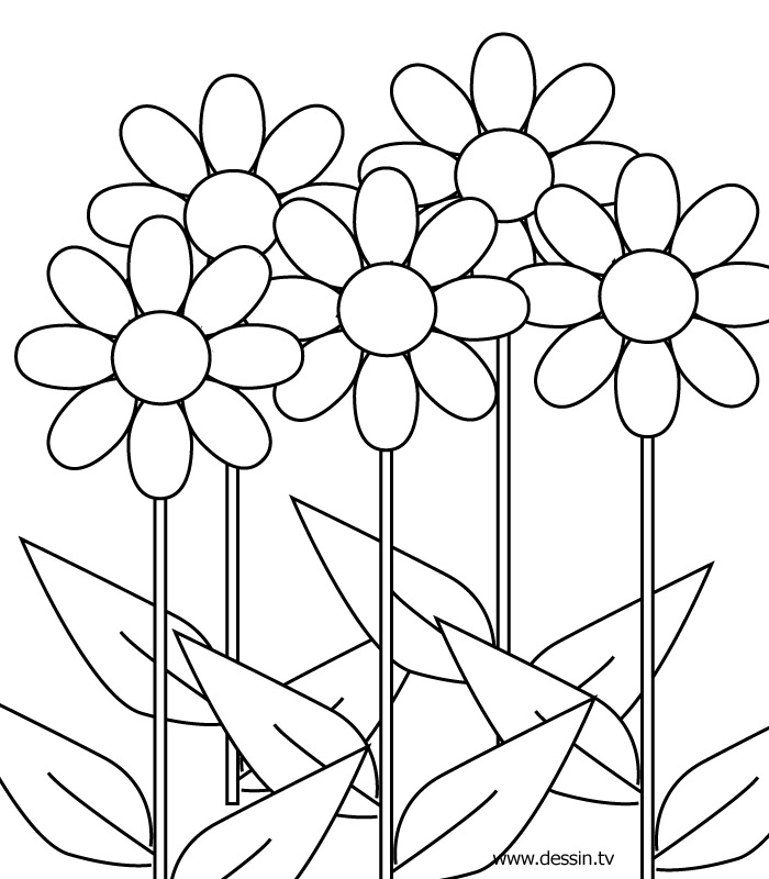 Coloring Flower Pictures Flower Coloring Page