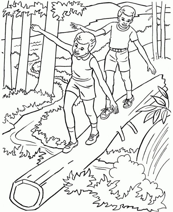 Coloring Pages For Adults Nature Coloring Home