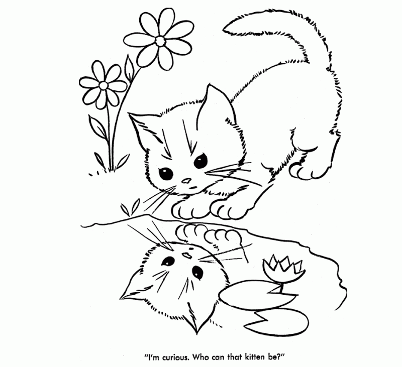 Cute Animals Coloring Pages Coloring Home