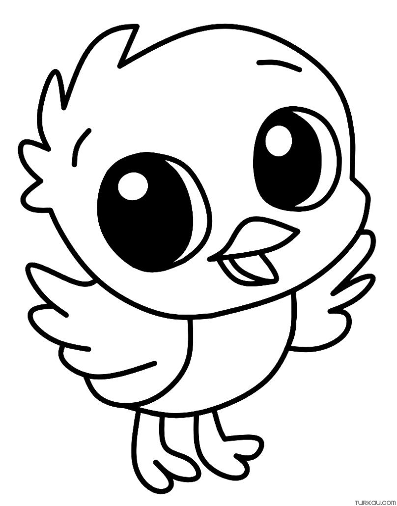 Cute Bird Coloring Pages Turkau