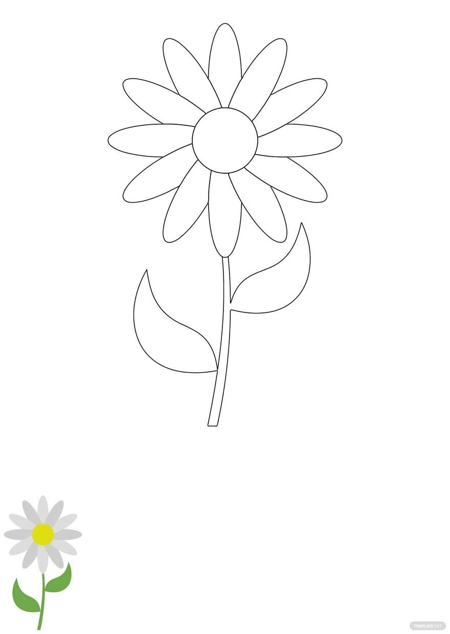 Daisy Flower Colouring Pages Infoupdate