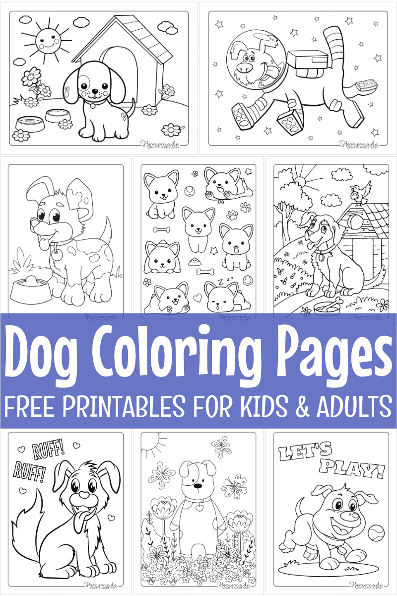 Dog Coloring Types Infoupdate
