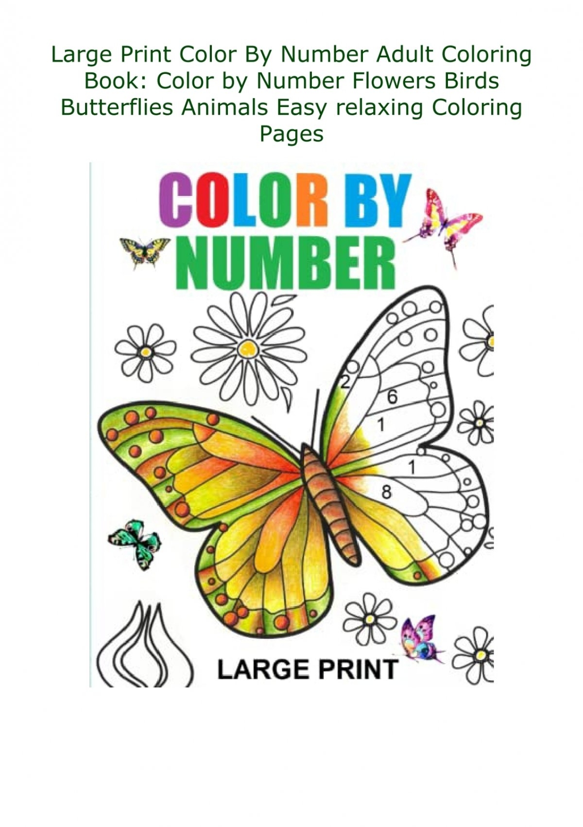 DownloadPDF Large Print Color By Number Adult Coloring Book Color By