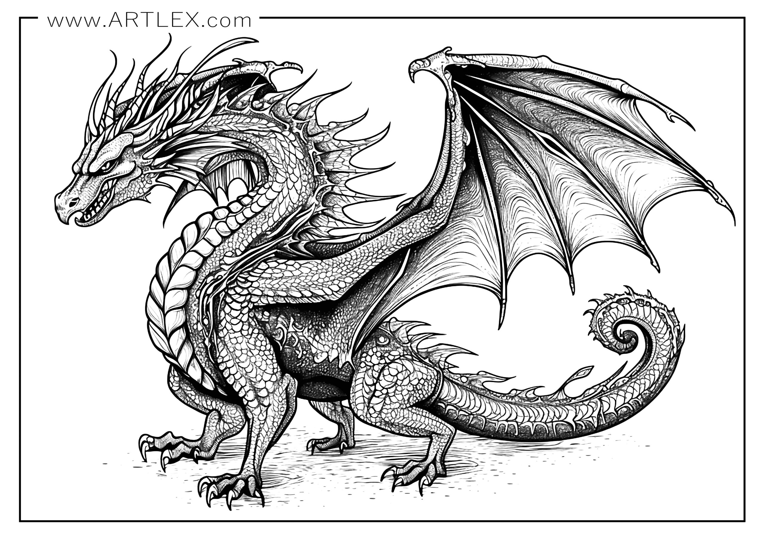 Dragon Coloring Pictures Free Infoupdate