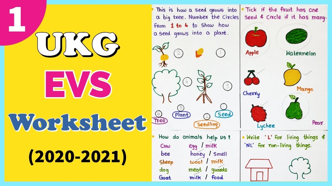 EVS Worksheet Of UKG Class UKG EVS Test Paper For Senior 42 OFF