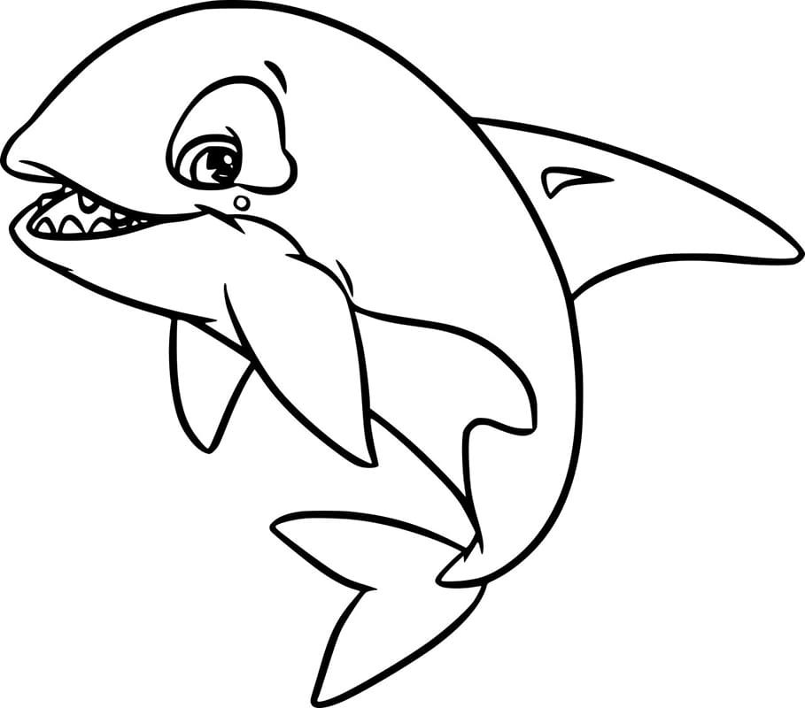 Fierce Orca Whale