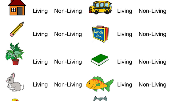 FIRST GRADE SCIENCE WORKSHEET ESL Worksheet By Anpamaji Worksheets 