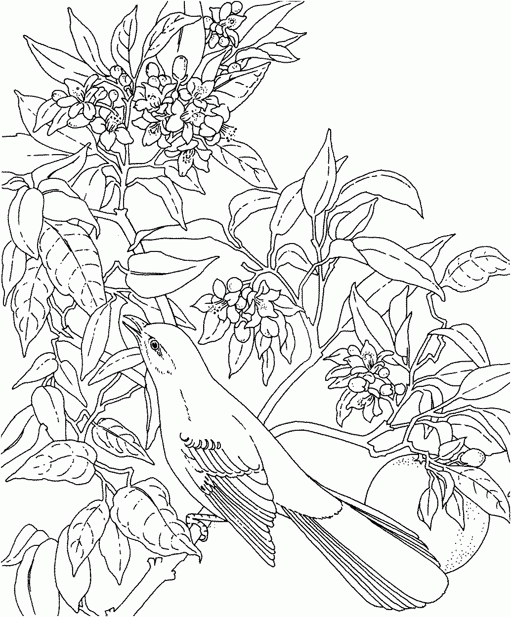 Flower Coloring Pages For Adults Best Coloring Pages For Kids