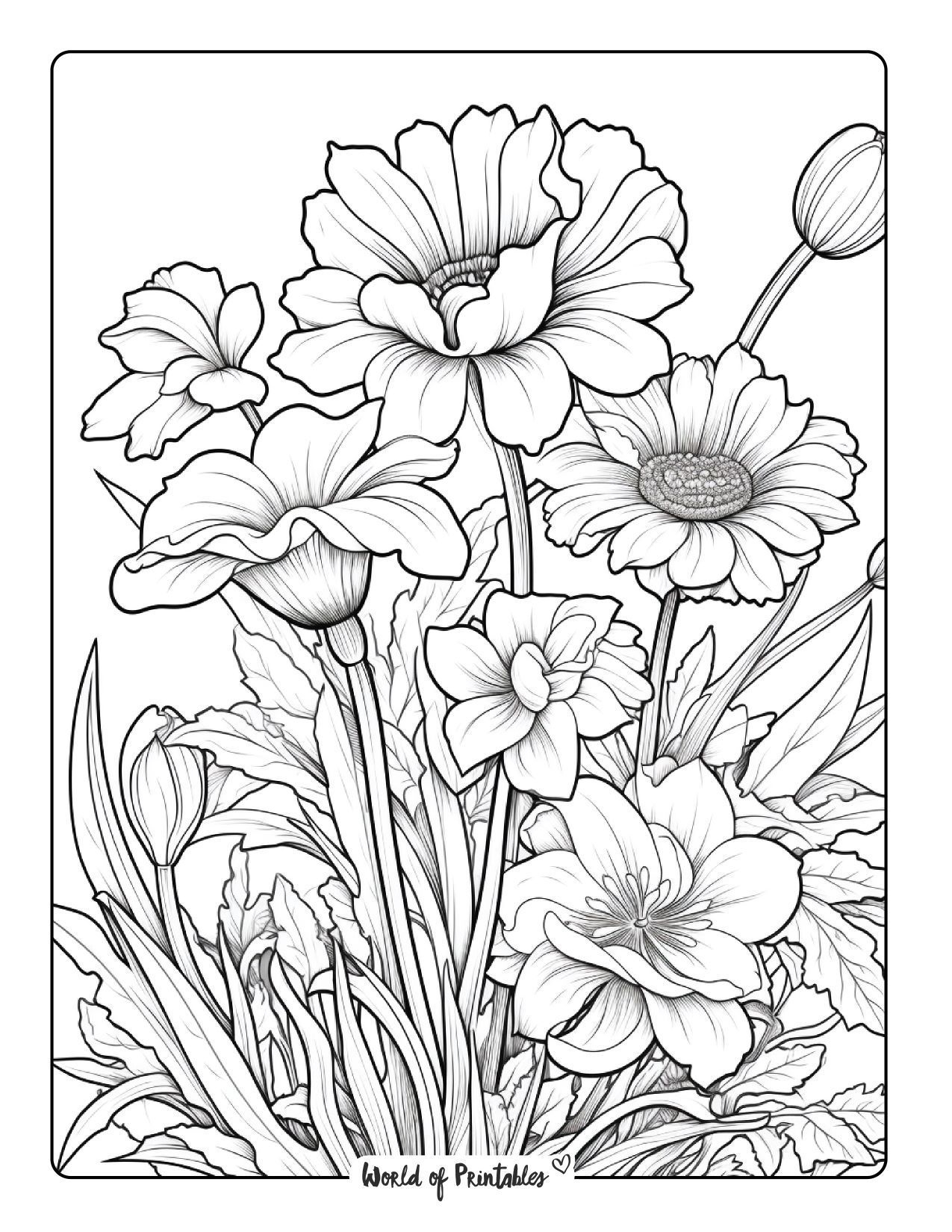 Flower Coloring Sheets Free Printable Flower Coloring Sheets 
