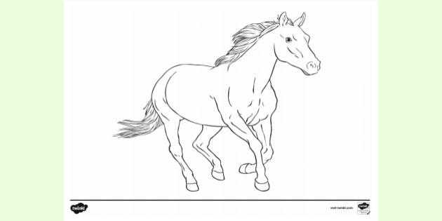 FREE Horse Colouring Colouring Sheets Teacher Made 
