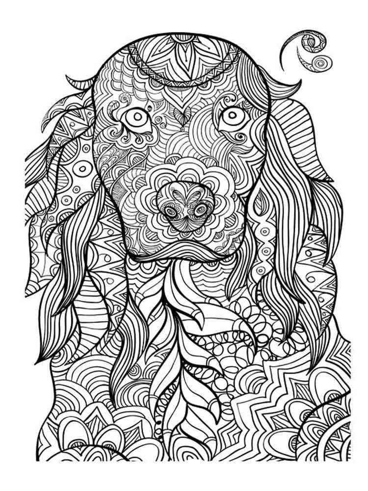 Free Printable Animal Coloring Pages For Adults Only Find More Animal 