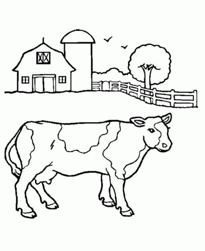 Free Printable Cow Coloring Pages For Kids