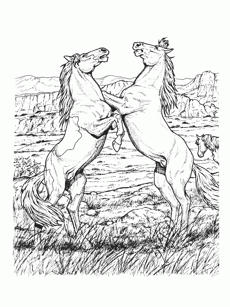 Free Printable Horse Coloring Pages For Kids
