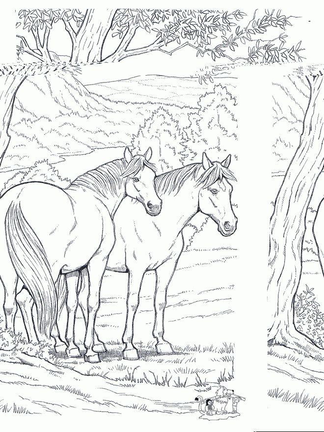 Free Printable Horse Coloring Pages For Kids