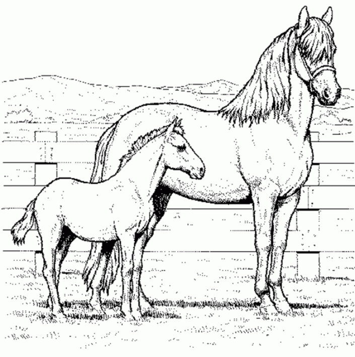 Free Printable Horse Coloring Pages For Kids