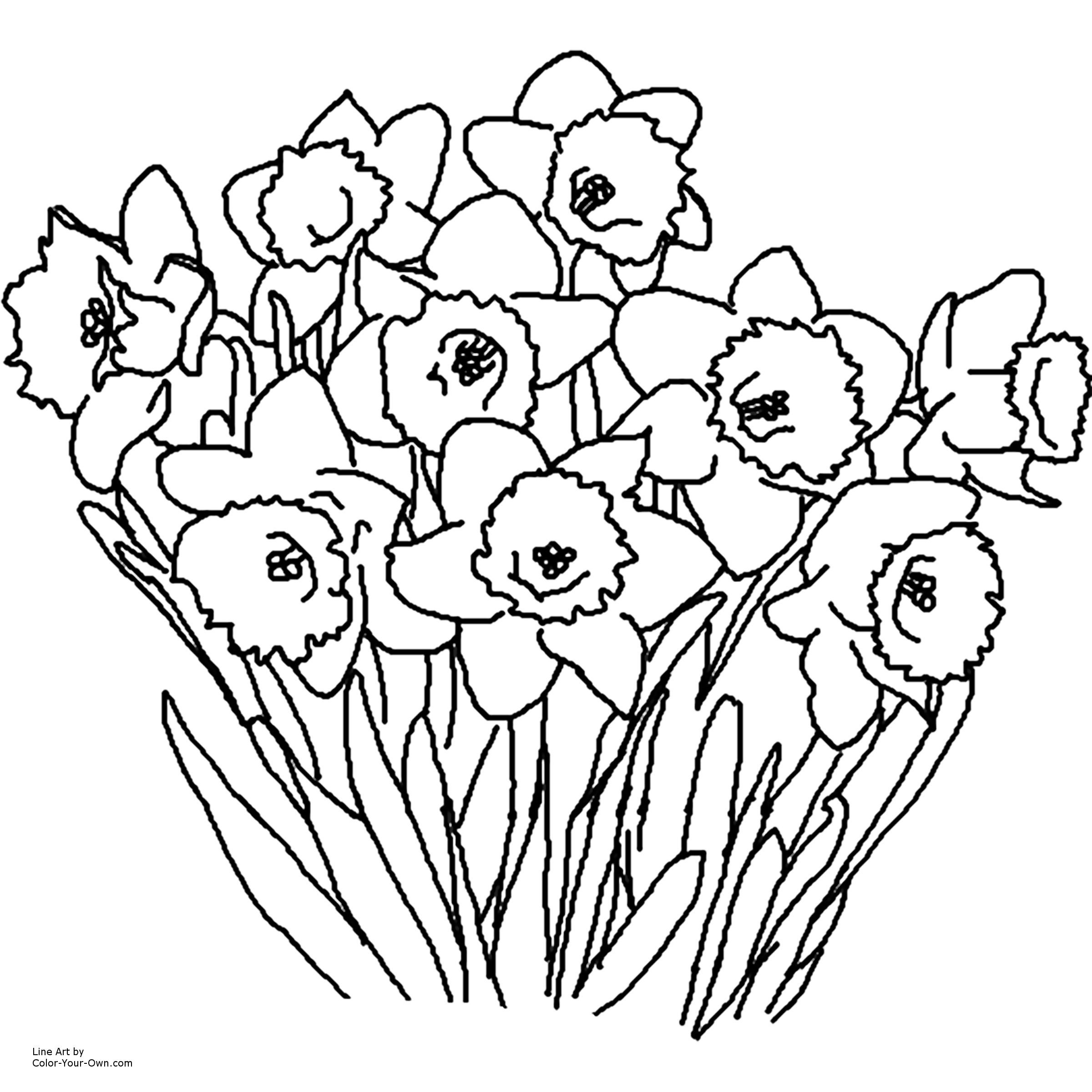 Free Printable Spring Flowers Coloring Pages Coloring Home