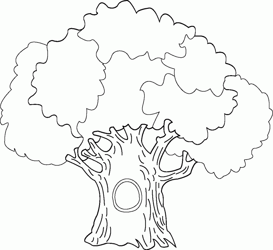 Get Creative With Tree Coloring Sheets