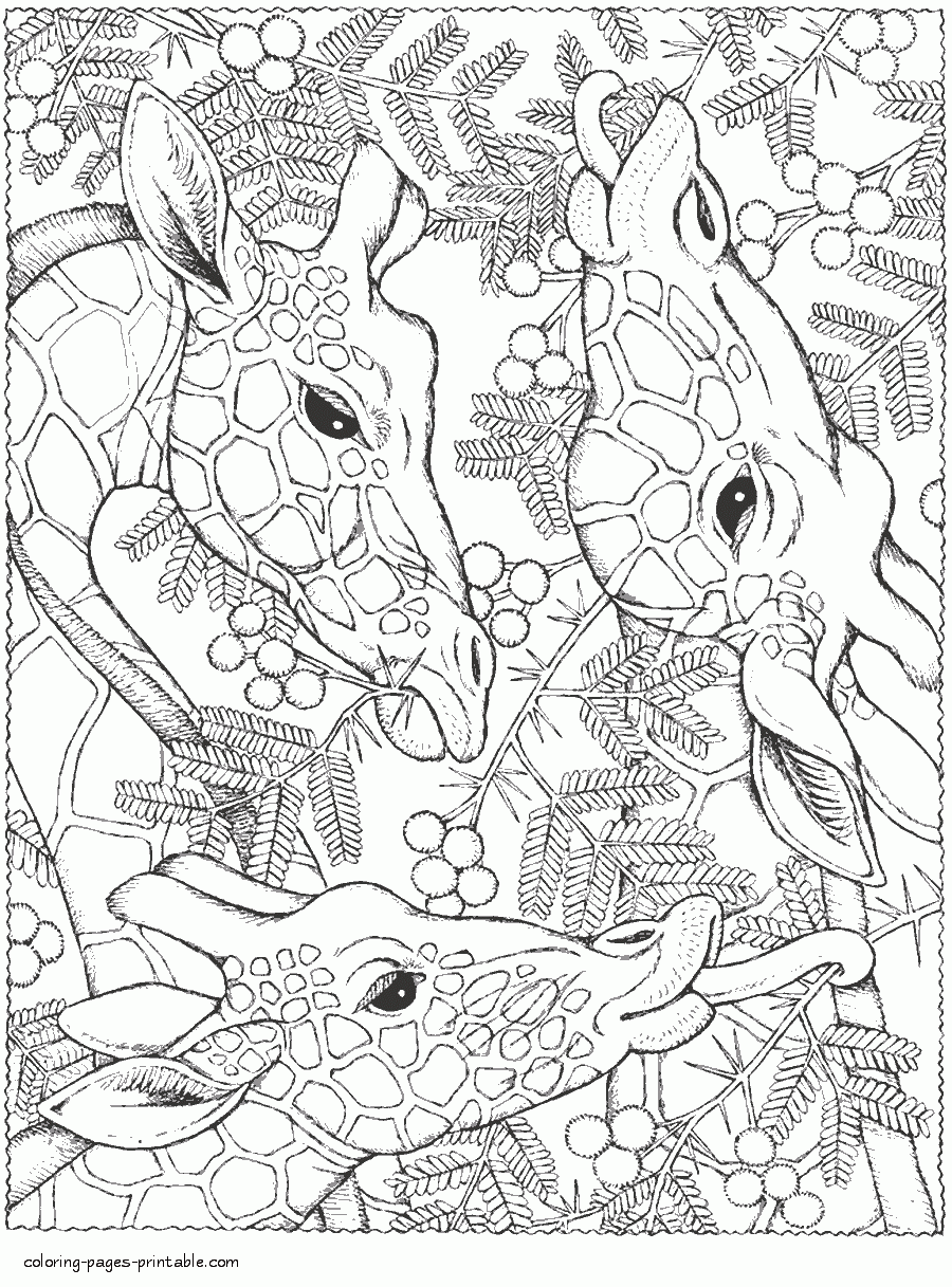 Giraffes Animal Coloring Pages For Adults COLORING PAGES PRINTABLE COM