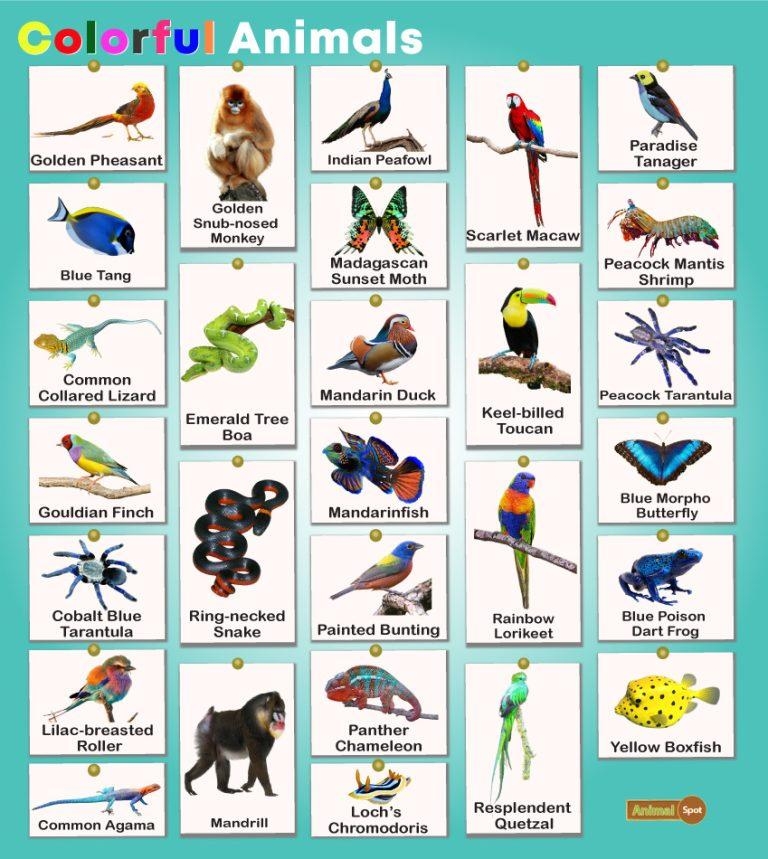 Green Animals Facts List Pictures