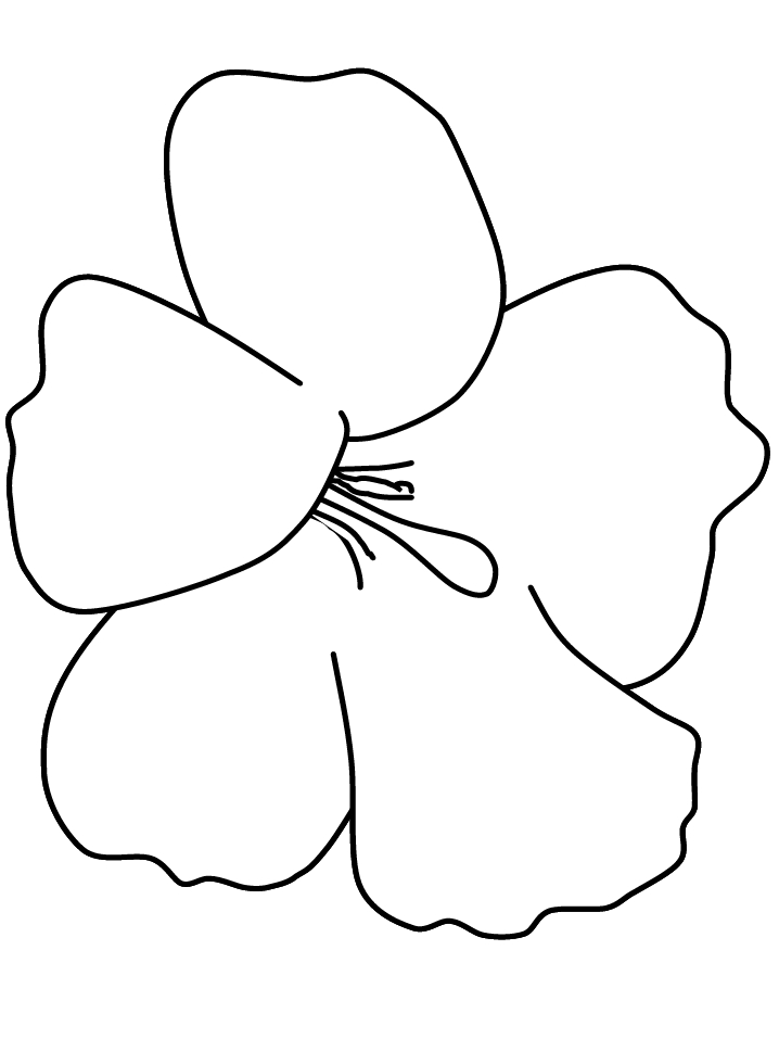Hibiscus Flower Coloring Pages Flower Coloring Page